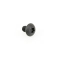 Socket Head Torx Retaining Screw 4mm x .7mm x 5.6mm