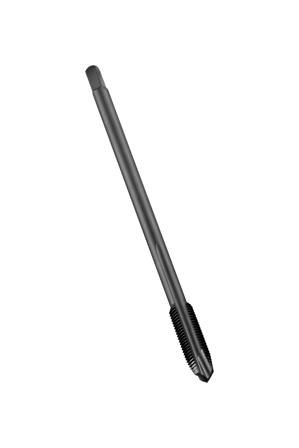 EP11M22X1.5