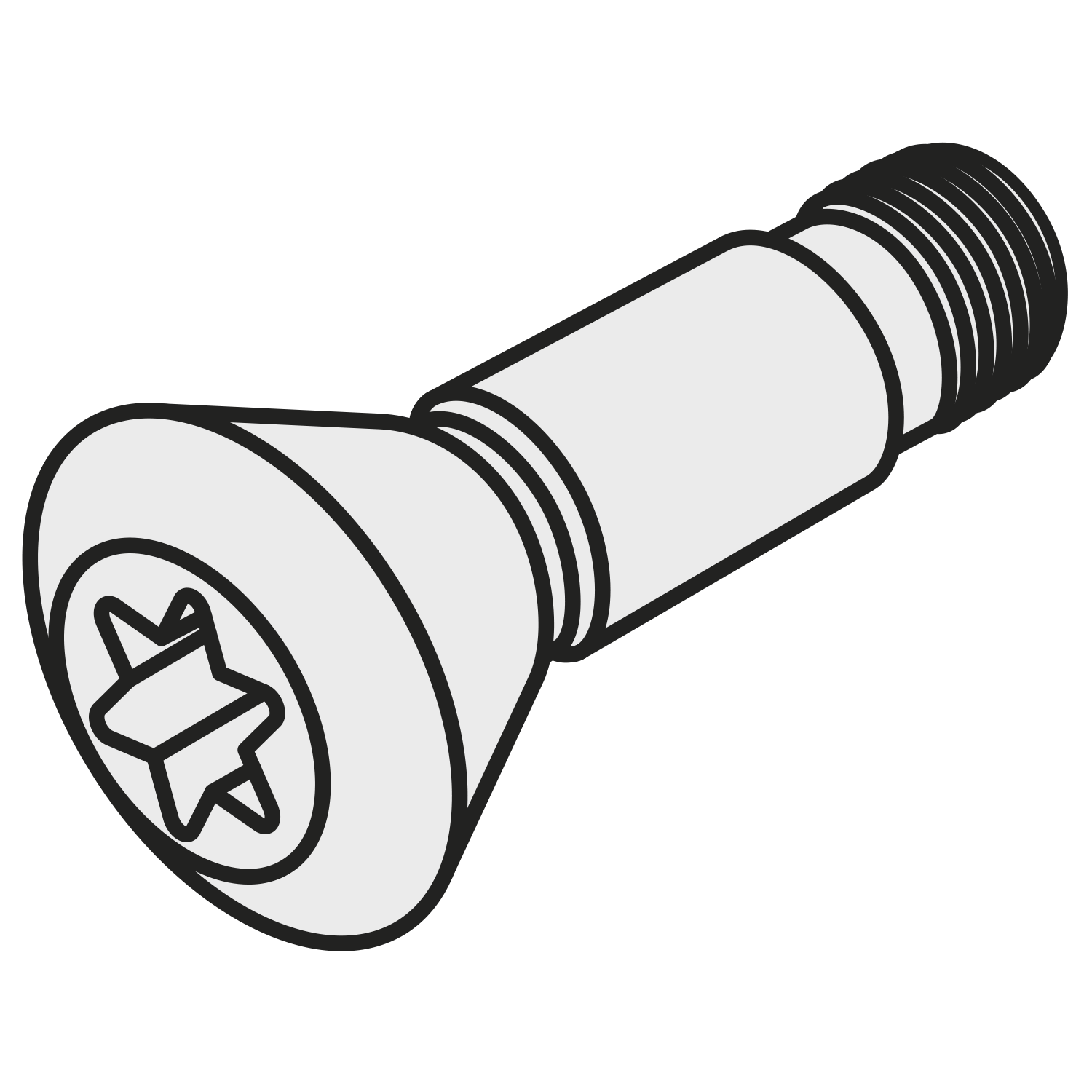 CS 5013-T20P