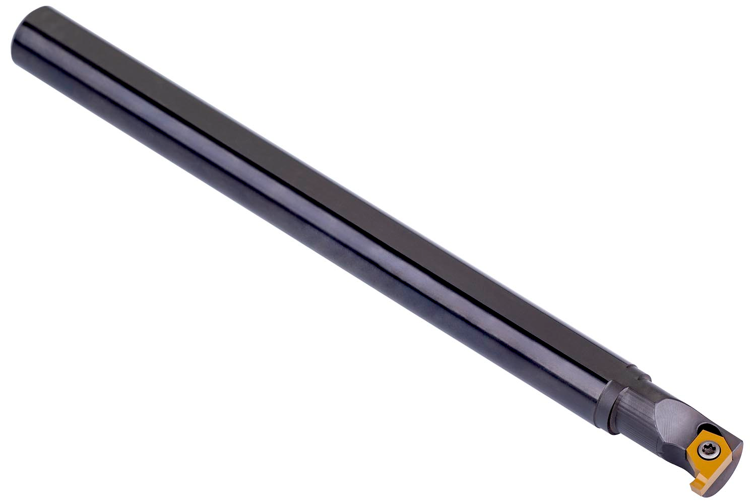 P61.SGL-0012M-06/1